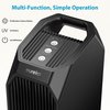 Eureka Instant Clear NEA120 True HEPA 3-in-1 Air Purifer w/Filter with UV LED for Allergies Black CAF-W36US